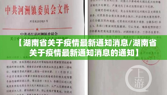 【湖南省关于疫情最新通知消息/湖南省关于疫情最新通知消息的通知】