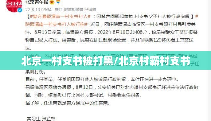 北京一村支书被打黑/北京村霸村支书
