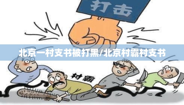 北京一村支书被打黑/北京村霸村支书