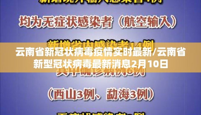 云南省新冠状病毒疫情实时最新/云南省新型冠状病毒最新消息2月10日