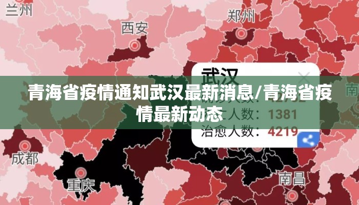 青海省疫情通知武汉最新消息/青海省疫情最新动态