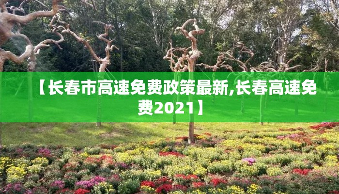 【长春市高速免费政策最新,长春高速免费2021】