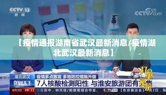 【疫情通报湖南省武汉最新消息/疫情湖北武汉最新消息】