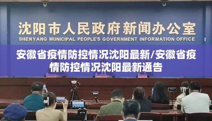 安徽省疫情防控情况沈阳最新/安徽省疫情防控情况沈阳最新通告