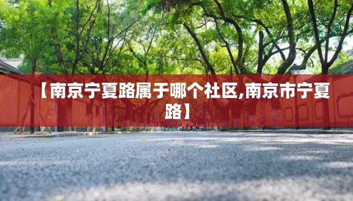 【南京宁夏路属于哪个社区,南京市宁夏路】