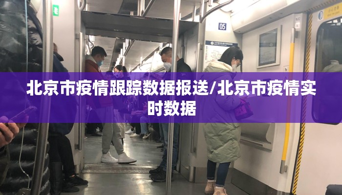北京市疫情跟踪数据报送/北京市疫情实时数据