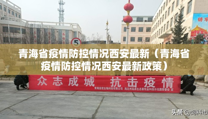 青海省疫情防控情况西安最新（青海省疫情防控情况西安最新政策）