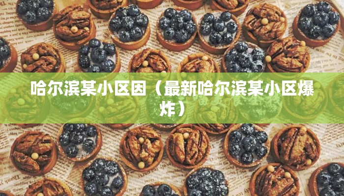哈尔滨某小区因（最新哈尔滨某小区爆炸）