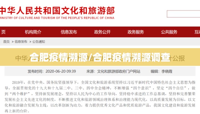 合肥疫情溯源/合肥疫情溯源调查