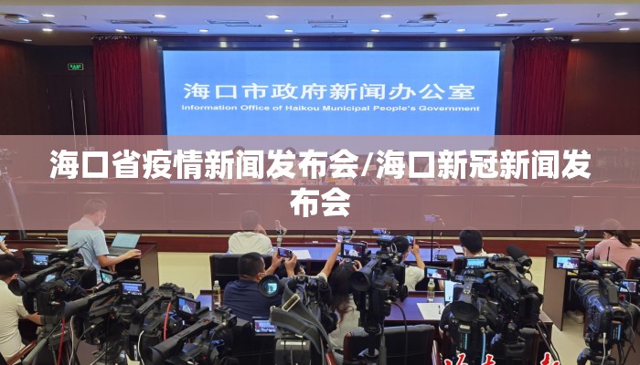海口省疫情新闻发布会/海口新冠新闻发布会