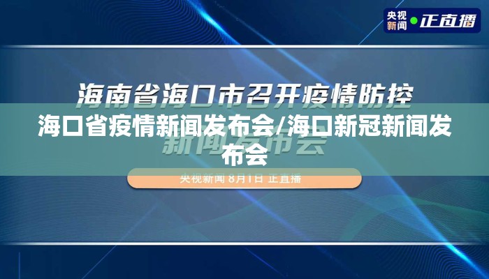 海口省疫情新闻发布会/海口新冠新闻发布会