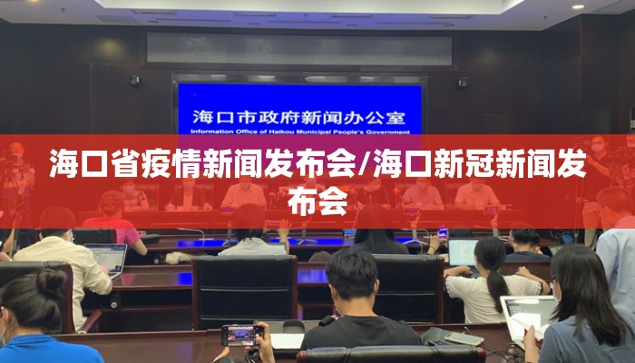 海口省疫情新闻发布会/海口新冠新闻发布会