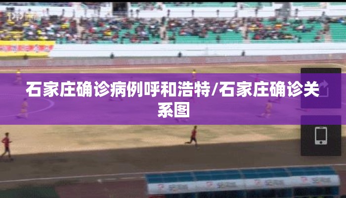 石家庄确诊病例呼和浩特/石家庄确诊关系图