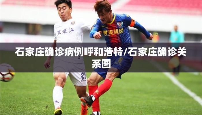 石家庄确诊病例呼和浩特/石家庄确诊关系图