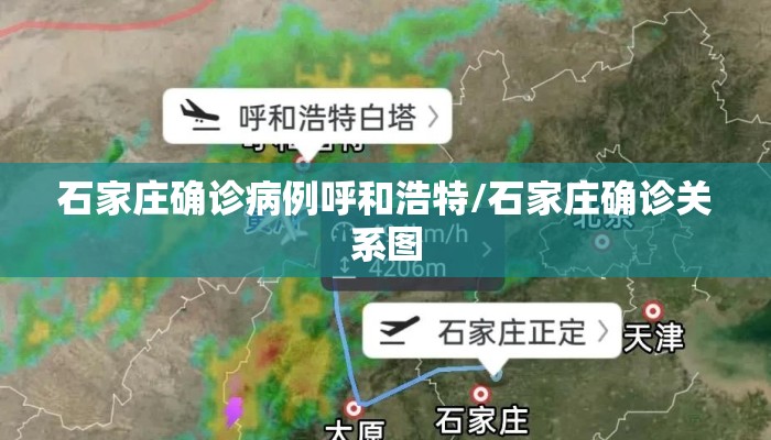 石家庄确诊病例呼和浩特/石家庄确诊关系图