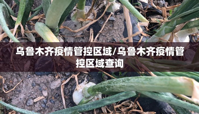 乌鲁木齐疫情管控区域/乌鲁木齐疫情管控区域查询