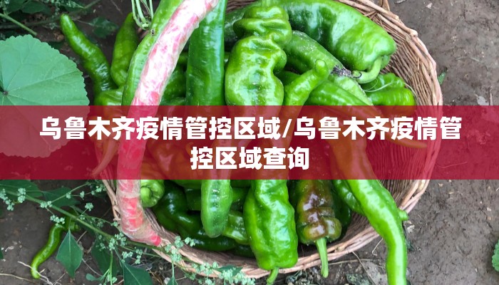 乌鲁木齐疫情管控区域/乌鲁木齐疫情管控区域查询
