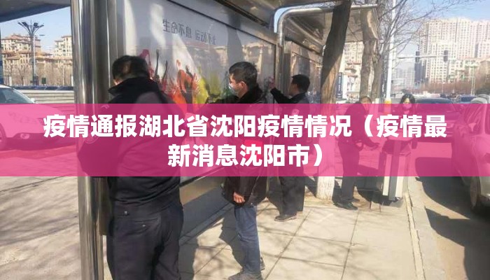 疫情通报湖北省沈阳疫情情况（疫情最新消息沈阳市）