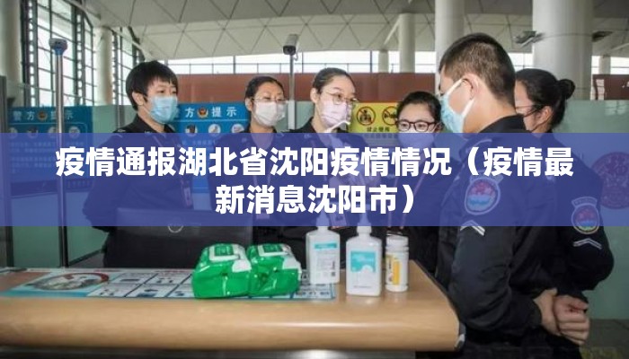 疫情通报湖北省沈阳疫情情况（疫情最新消息沈阳市）