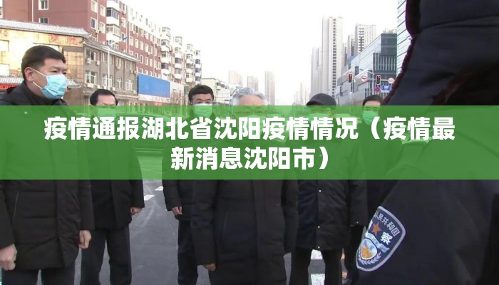 疫情通报湖北省沈阳疫情情况（疫情最新消息沈阳市）