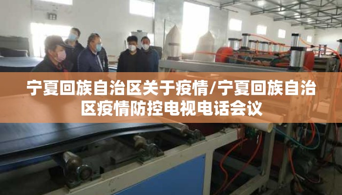 宁夏回族自治区关于疫情/宁夏回族自治区疫情防控电视电话会议