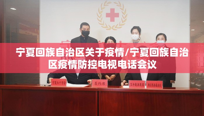 宁夏回族自治区关于疫情/宁夏回族自治区疫情防控电视电话会议
