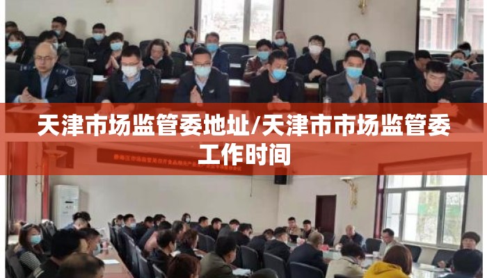 天津市场监管委地址/天津市市场监管委工作时间