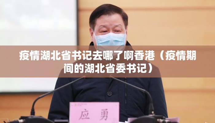 疫情湖北省书记去哪了啊香港（疫情期间的湖北省委书记）