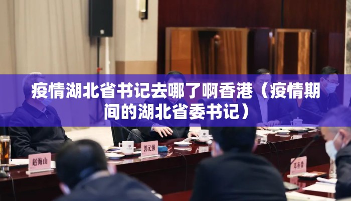 疫情湖北省书记去哪了啊香港（疫情期间的湖北省委书记）