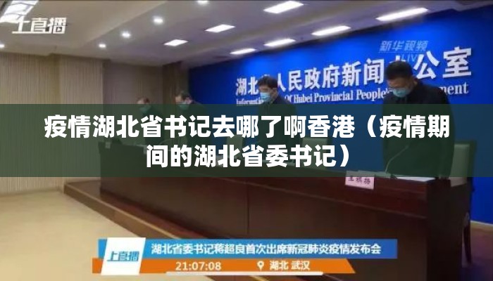 疫情湖北省书记去哪了啊香港（疫情期间的湖北省委书记）