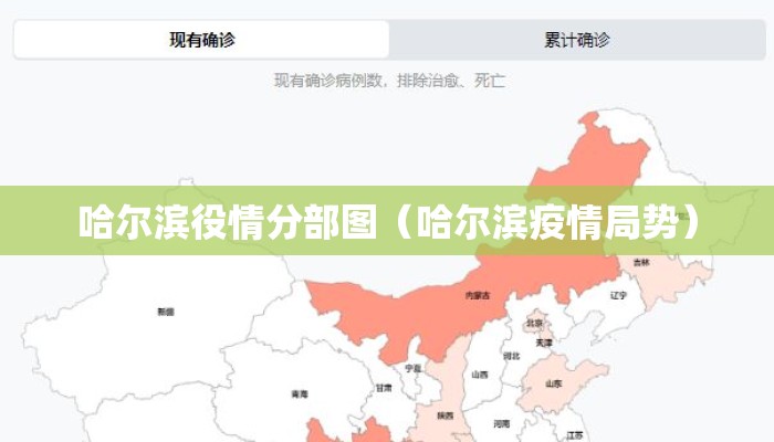 哈尔滨役情分部图（哈尔滨疫情局势）