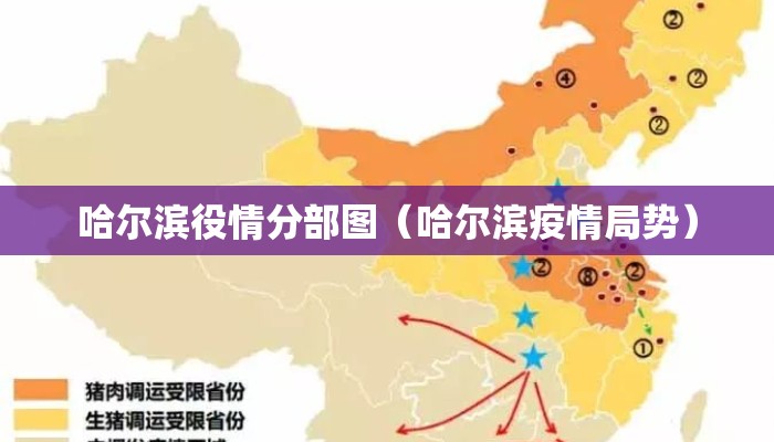 哈尔滨役情分部图（哈尔滨疫情局势）