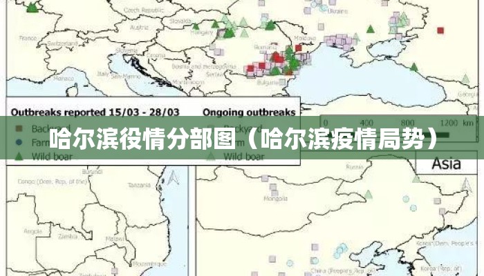 哈尔滨役情分部图（哈尔滨疫情局势）