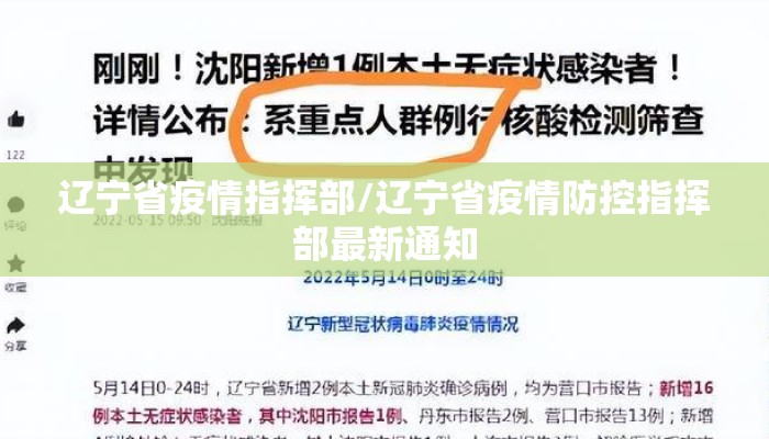 辽宁省疫情指挥部/辽宁省疫情防控指挥部最新通知