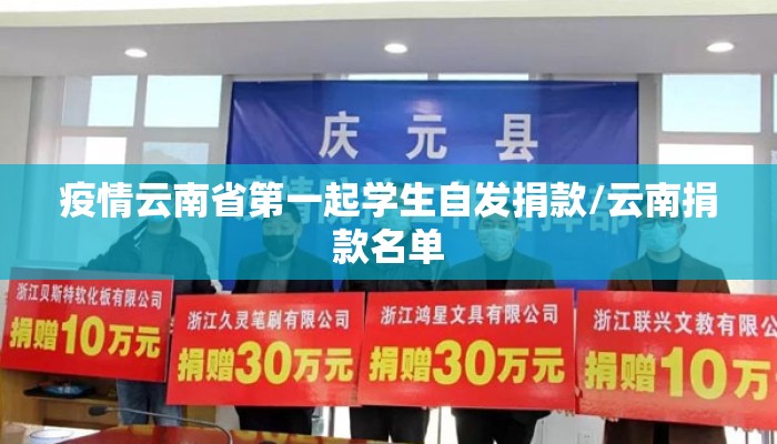 疫情云南省第一起学生自发捐款/云南捐款名单