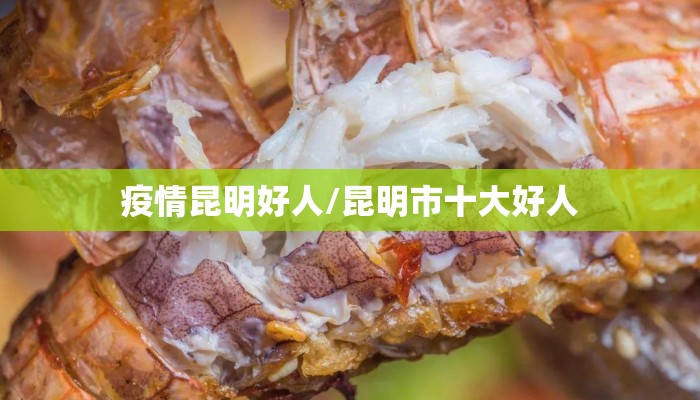 疫情昆明好人/昆明市十大好人