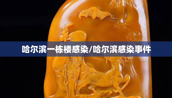 哈尔滨一栋楼感染/哈尔滨感染事件