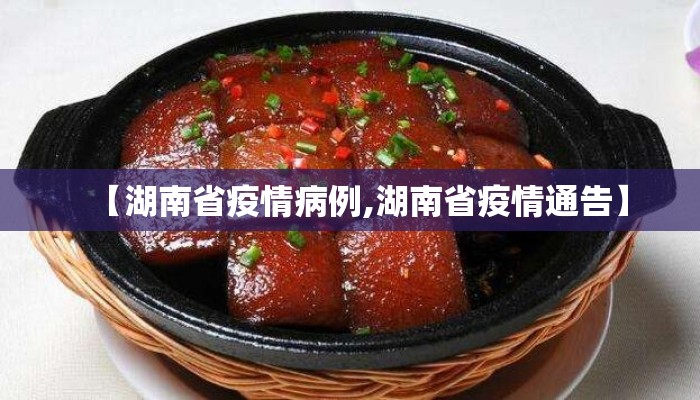 【湖南省疫情病例,湖南省疫情通告】