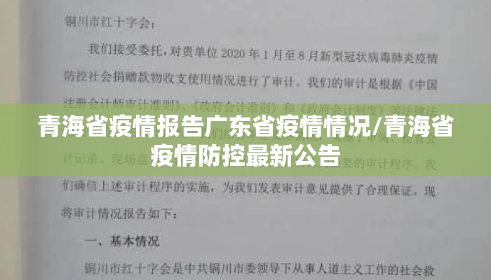 青海省疫情报告广东省疫情情况/青海省疫情防控最新公告