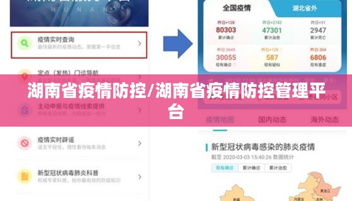湖南省疫情防控/湖南省疫情防控管理平台