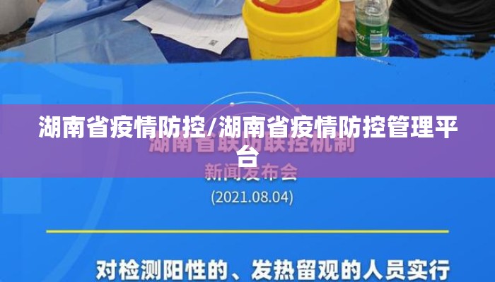 湖南省疫情防控/湖南省疫情防控管理平台