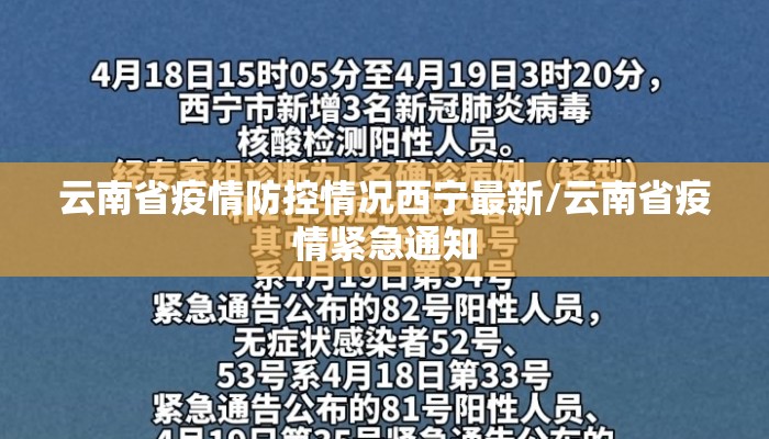 云南省疫情防控情况西宁最新/云南省疫情紧急通知