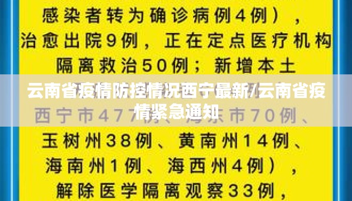 云南省疫情防控情况西宁最新/云南省疫情紧急通知