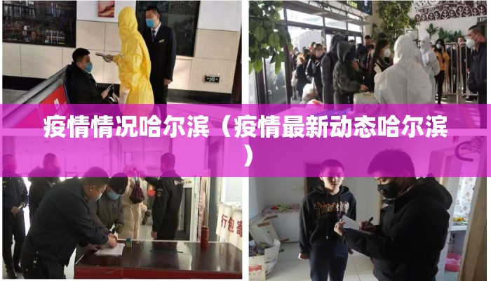 疫情情况哈尔滨（疫情最新动态哈尔滨）