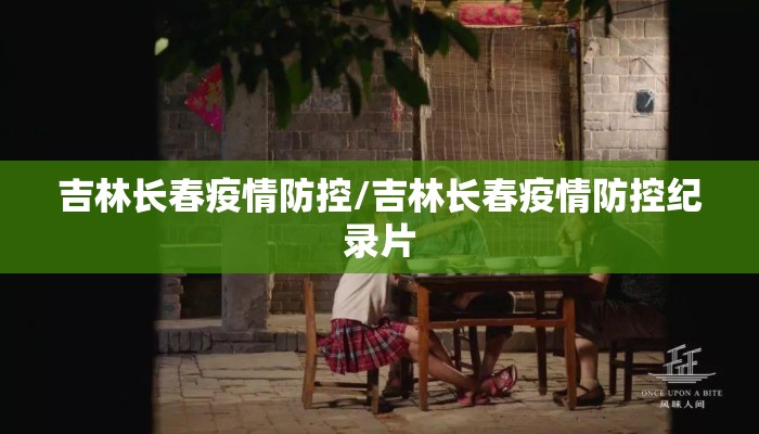 吉林长春疫情防控/吉林长春疫情防控纪录片