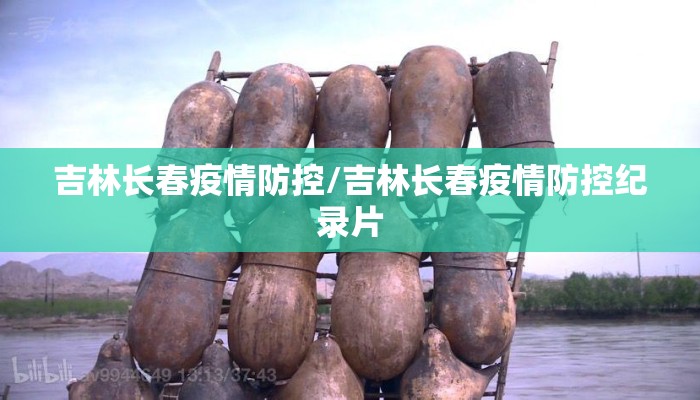 吉林长春疫情防控/吉林长春疫情防控纪录片