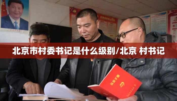 北京市村委书记是什么级别/北京 村书记