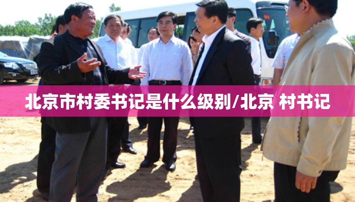 北京市村委书记是什么级别/北京 村书记