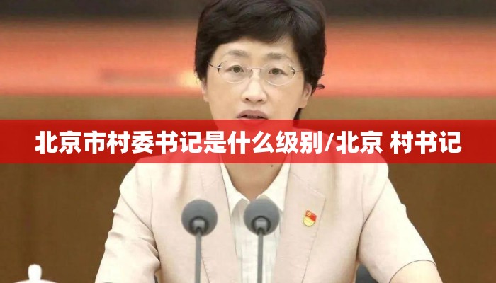 北京市村委书记是什么级别/北京 村书记