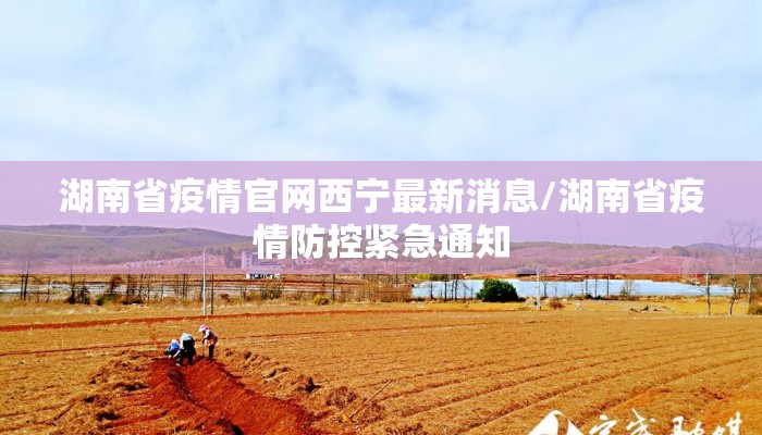 湖南省疫情官网西宁最新消息/湖南省疫情防控紧急通知